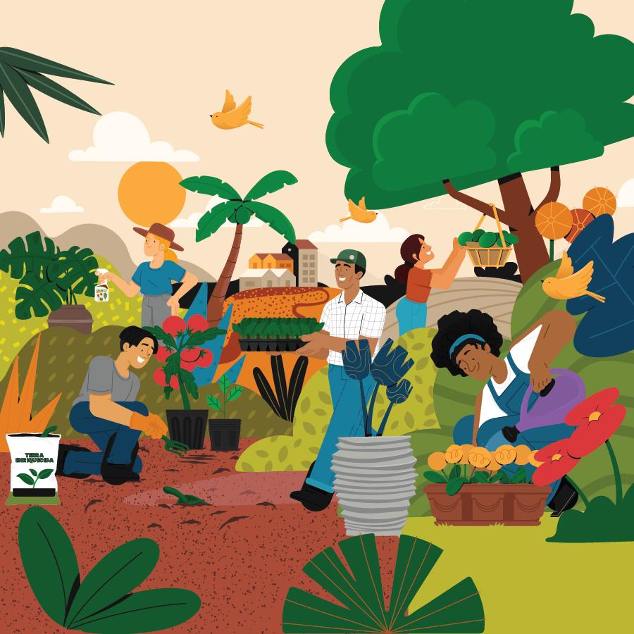 40 anos cultivando raízes